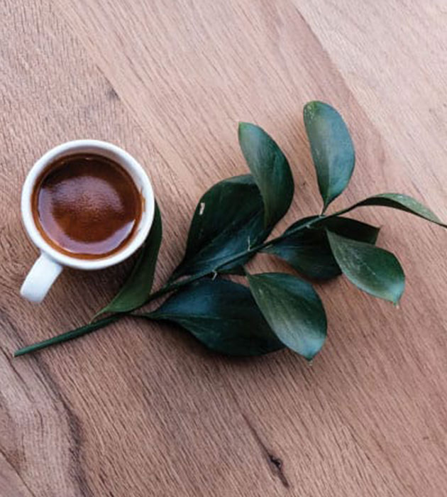 Mortherland Coffee
